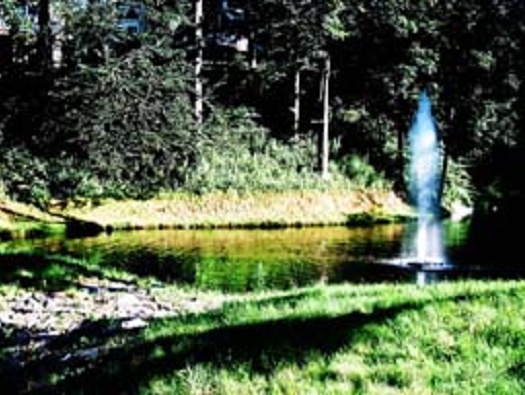 Pond/Fountain